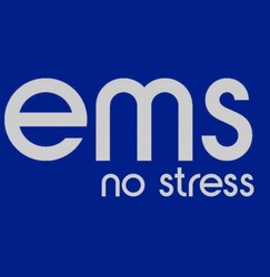 Заявка на торговельну марку № m202302766: ems no stress