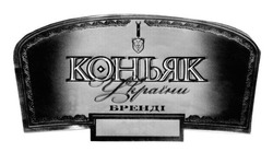 Заявка на торговельну марку № m201303595: коньяк україни; бренді