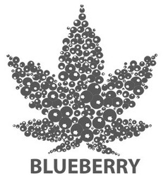 Свідоцтво торговельну марку № 246409 (заявка m201627894): blueberry