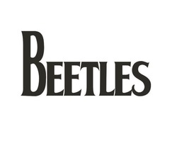Свідоцтво торговельну марку № 218335 (заявка m201511935): beetles