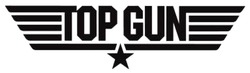Заявка на торговельну марку № m202210503: top gun; тор