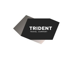 Заявка на торговельну марку № m201813737: trident; travel company