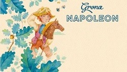 Свідоцтво торговельну марку № 309832 (заявка m201932820): grona napoleon