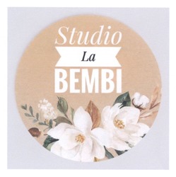 Заявка на торговельну марку № m202319840: studio la bembi
