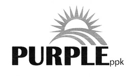 Заявка на торговельну марку № m202011258: purple ppk; ррк