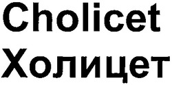 Свідоцтво торговельну марку № 190581 (заявка m201308402): холицет; cholicet