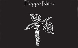 Свідоцтво торговельну марку № 264432 (заявка m201825017): pioppo nero