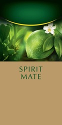 Свідоцтво торговельну марку № 287477 (заявка m201827837): spirit mate; мате