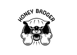 Заявка на торговельну марку № m202104440: honey badger