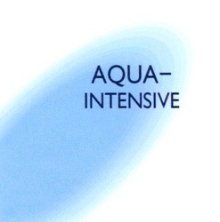 Свідоцтво торговельну марку № 63362 (заявка 20041010635): aqua-intensive