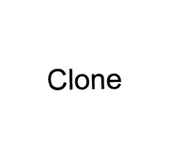 Свідоцтво торговельну марку № 312028 (заявка m202109189): clone