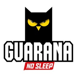 Заявка на торговельну марку № m202011800: guarana no sleep