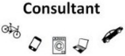 Свідоцтво торговельну марку № 324755 (заявка m202201617): consultant