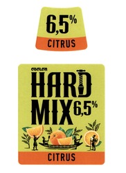 Свідоцтво торговельну марку № 334538 (заявка m202118823): 6,5%; citrus; hard mix; obolon
