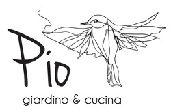 Свідоцтво торговельну марку № 342722 (заявка m202202214): ріо; pio giardino & cucina