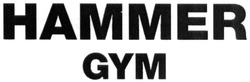 Заявка на торговельну марку № m201914155: hammer gym