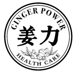 Свідоцтво торговельну марку № 332437 (заявка m202115299): ginger power; health care