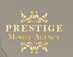 Заявка на торговельну марку № m202211201: prestige model agency