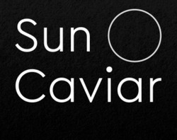 Свідоцтво торговельну марку № 329550 (заявка m202022055): sun caviar