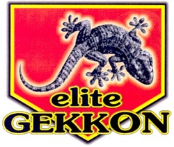 Заявка на торговельну марку № m200820229: elite gekkon