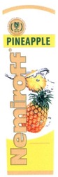 Свідоцтво торговельну марку № 245287 (заявка m201619649): nemiroff; 1872; pineapple