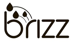 Свідоцтво торговельну марку № 265823 (заявка m201728701): brizz