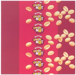 Заявка на торговельну марку № m201002346: candy nut з арахісом; candy nut с арахисом; roshen