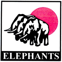 Свідоцтво торговельну марку № 45604 (заявка 2002119400): elephants