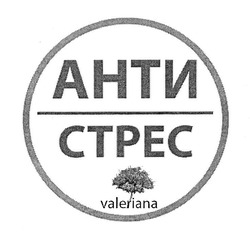 Свідоцтво торговельну марку № 335211 (заявка m202015800): valeriana; анти стрес