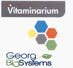 Свідоцтво торговельну марку № 344846 (заявка m202205956): віо; vitaminarium georg biosystems