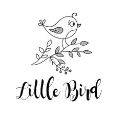Заявка на торговельну марку № m201826729: little bird