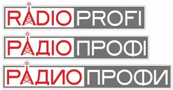 Свідоцтво торговельну марку № 316453 (заявка m202011436): radio profi; радио профи; радіо профі