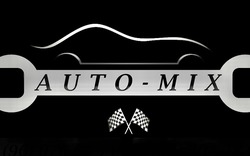 Заявка на торговельну марку № m202209020: auto-mix