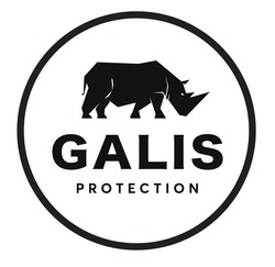 Свідоцтво торговельну марку № 315325 (заявка m202011754): galis protection