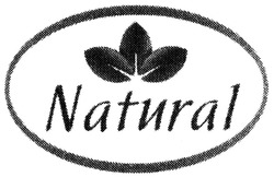 Заявка на торговельну марку № m201319735: natural