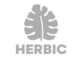Заявка на торговельну марку № m202402103: herbic