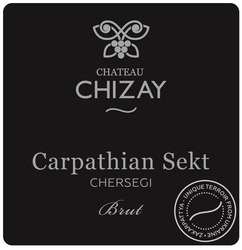 Заявка на торговельну марку № m202024847: brut; carpathian sekt; chateau; chersegi; chizay; zakarpattya-unique terroir from ukraine