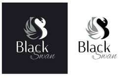 Свідоцтво торговельну марку № 317679 (заявка m202019155): black swan; bs; sb