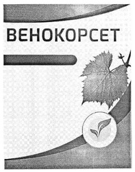 Заявка на торговельну марку № m201715623: behokopcet; венокорсет