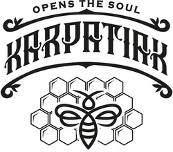 Заявка на торговельну марку № m202303694: open the soul karpatiak