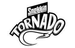 Свідоцтво торговельну марку № 216465 (заявка m201508573): snekkin tornado