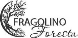 Свідоцтво торговельну марку № 335513 (заявка m202109815): fragolino foresta