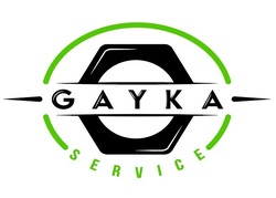 Свідоцтво торговельну марку № 334897 (заявка m202117942): gayka service