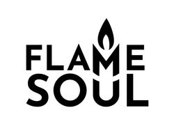 Заявка на торговельну марку № m202313639: flame soul