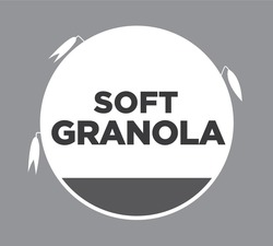 Свідоцтво торговельну марку № 329743 (заявка m201932538): soft granola