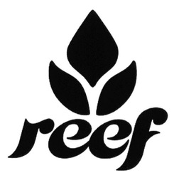 Свідоцтво торговельну марку № 210246 (заявка m201500616): reef