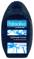 Свідоцтво торговельну марку № 121907 (заявка m200820975): palmolive для мужчин; северный океан; освежающий