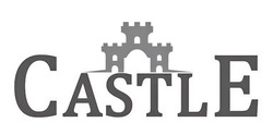 Заявка на торговельну марку № m202305338: castle