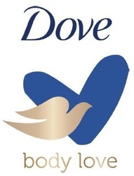 Свідоцтво торговельну марку № 335236 (заявка m202106414): dove body love