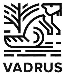 Свідоцтво торговельну марку № 310085 (заявка m201923150): vadrus